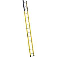 Single Manhole Ladder, 14', Fibreglass, 375 lbs., CSA Grade 1AA Quali-T-Solutions