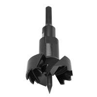 Standard Self-Feed Drill Bit, 3-5/8", 6" Length, 7/16" Hex Shank Quali-T-Solutions