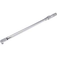 Cl&eacute; dynamom&eacute;trique microm&eacute;trique &agrave; t&ecirc;te fixe, &agrave; cliquer, Entraînement 1/2" carr&eacute;, 50-250 lb-pi Quali-T-Solutions