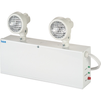 Lampes de secours Nova, Acier, Incandescente, 120 V - 347 V Quali-T-Solutions