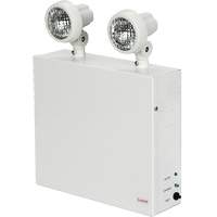 Lampes de secours Nova, Acier, DEL, 120 V - 347 V Quali-T-Solutions