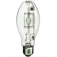 Ampoules pour lampe de travail Quali-T-Solutions