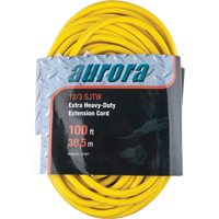Cordon rallonge en vinyle, Ext&eacute;rieur, SJTW, AWG 12/3, 15 A, 100' Quali-T-Solutions