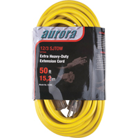 Cordon rallonge en vinyle avec indicateur lumineux, Ext&eacute;rieur, SJTOW, AWG 12/3, 15 A, 50' Quali-T-Solutions
