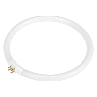 Replacement Fluorescent Bulb for Rhinomag Illuminated Magnifiers, 22 W Quali-T-Solutions
