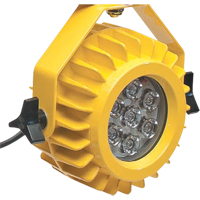 Lampe robuste DEL pour les quais - t&ecirc;te seulement Quali-T-Solutions