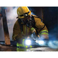 Lanterne, DEL,  Lumens, Piles C Quali-T-Solutions