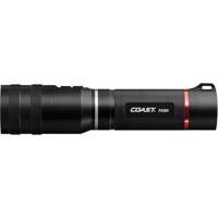 Lampe de poche et de zone PX250, DEL, Piles AAA, Aluminium Quali-T-Solutions