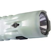 Flashlight, LED, 378 Lumens, AA Batteries Quali-T-Solutions