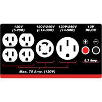 G&eacute;n&eacute;ratrice &agrave; essence/propane &agrave; d&eacute;marreur &eacute;lectrique Quali-T-Solutions