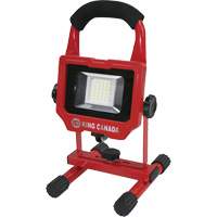 Baladeuse, DEL, 15 W, 1500 lumens, Boîtier en Aluminium Quali-T-Solutions