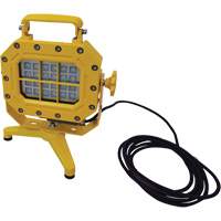 Explosion Proof Floodlight with Stand, LED, 40 W, 5600 Lumens, Aluminum Housing Quali-T-Solutions