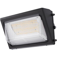 Luminaire mural, DEL, 120 -347 V, 80 W Quali-T-Solutions