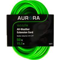 Cordon rallonge de calibre industriel, Toutes saisons, SJTW, AWG 10/3, 15 A, 50' Quali-T-Solutions