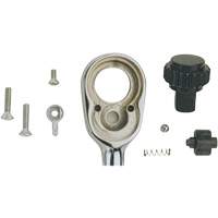 Ratchet Repair Kit Quali-T-Solutions
