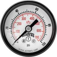Economy Pressure Gauge, 1-1/2" , 0 - 100 psi, Back Mount, Analogue Quali-T-Solutions
